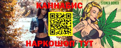 мдпв Гатчина
