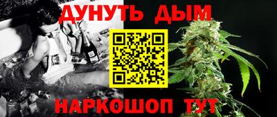 мдпв Гатчина