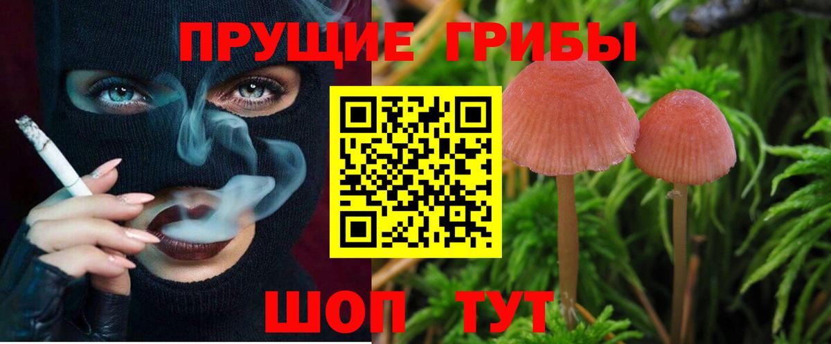 Псилоцибиновые грибы мухоморы Мценск